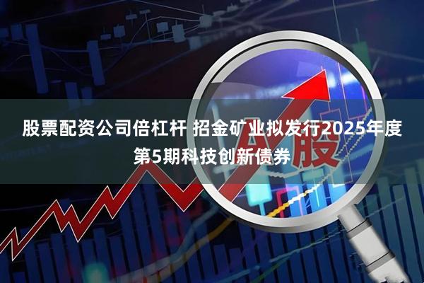 股票配资公司倍杠杆 招金矿业拟发行2025年度第5期科技创新债券